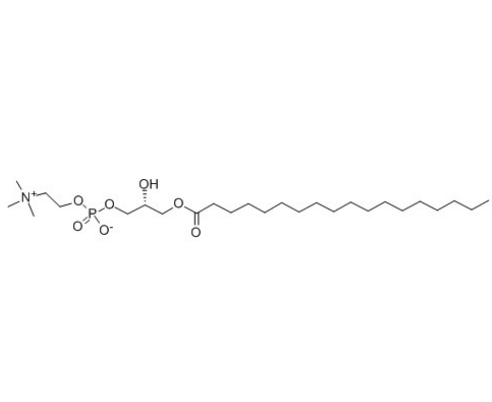S-lysoPC,1-硬脂酰-SN-甘油-3-磷酰胆碱