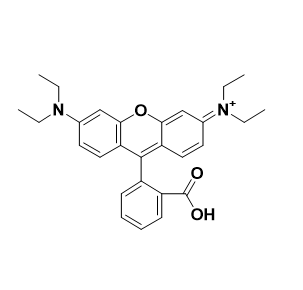 RB-Insulin,罗丹明B-胰岛素