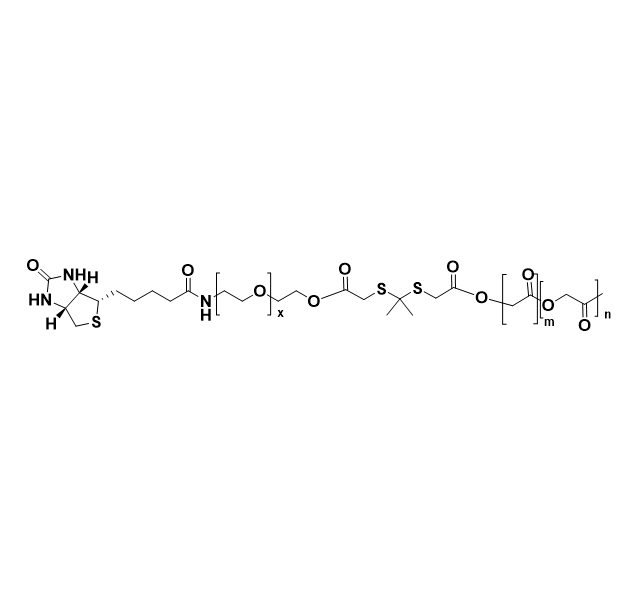 Biotin-PEG-TK-PLGA,生物素-聚乙二醇-酮缩硫醇-聚乳酸-羟基乙酸共聚物