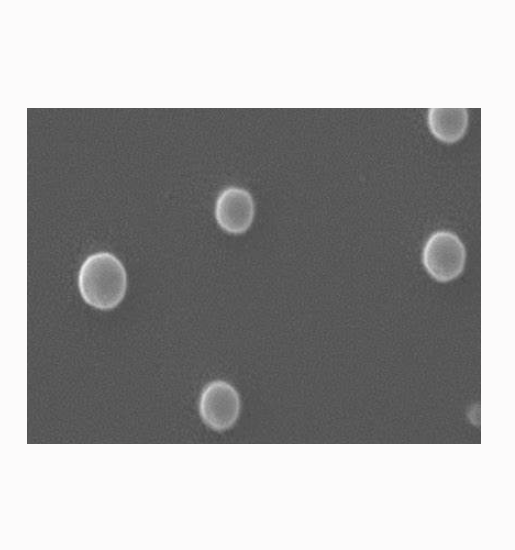 载药聚乳酸-羟基乙酸共聚物纳米粒  Drug-loaded PLGA nanoparticles的应用