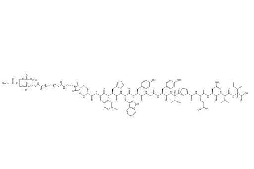 Research Advances on Antineoplastic Peptide GE11 and Its Application