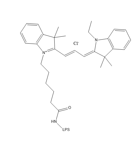 Cy3-LPS,三甲川花菁染料-脂多糖