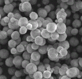 MnFe2O4 NPs,复合氧化物铁酸锰纳米粒子,