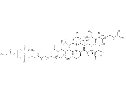环状多肽iRGD在白蛋白纳米递药体系的作用
