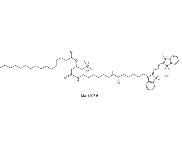Cy3-Palmitoyl carnitine,三甲川花菁染料-棕榈酰肉碱
