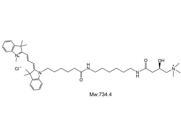 Cy3-L-carnitine,三甲川花菁染料-左旋肉碱