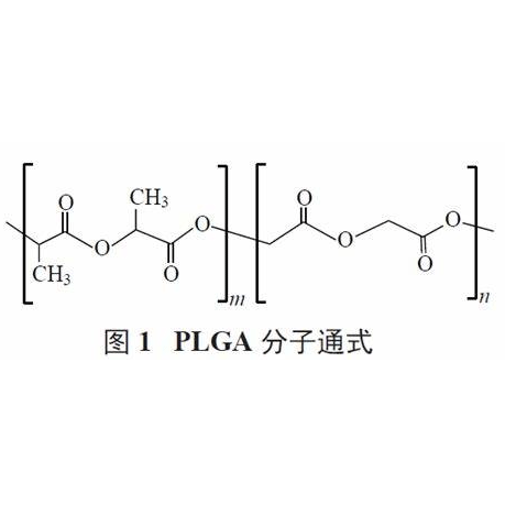 聚乙二醇2000-聚乳酸羟基乙酸共聚物18000 PEG2000-PLGA18000的优点