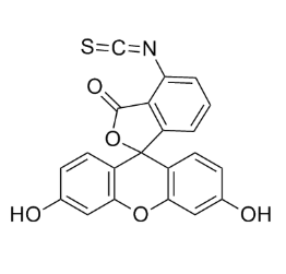 PLA(FITC修饰）纳米粒 100-200nm的制备  