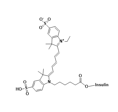 Bodipy-TMR-N3,氟硼二吡咯-TMR-叠氮