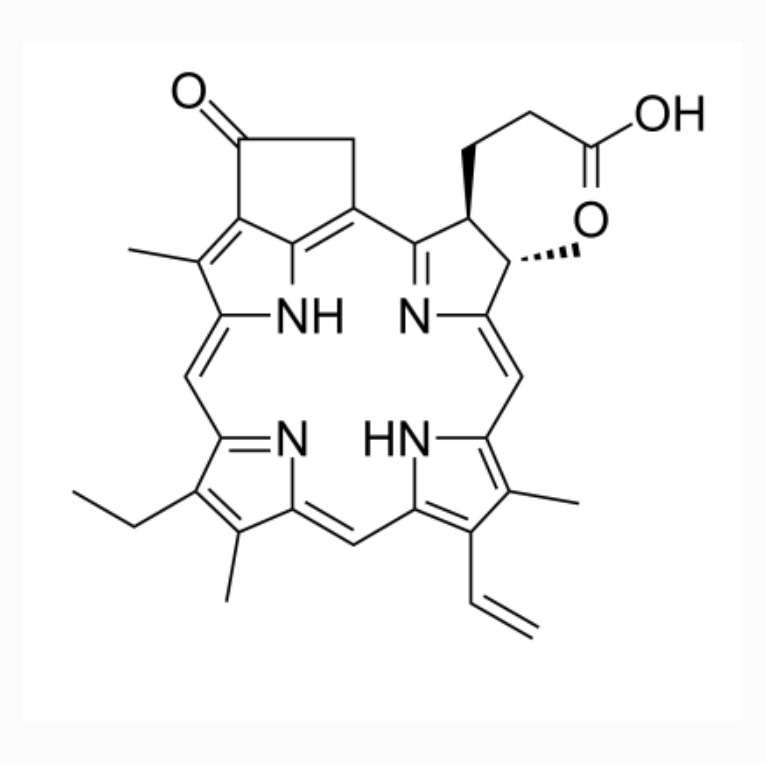 焦脱镁叶绿酸-a-聚乙二醇 2- JQ1    Pyropheophorbide-a-PEG2- JQ1的特性