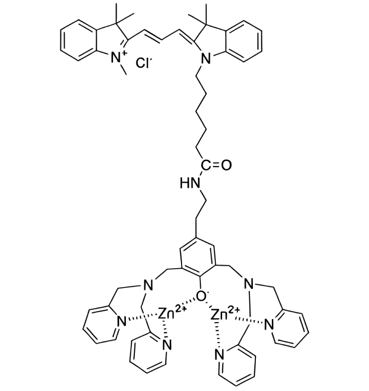 CY3-ZnDPA,三甲川花菁染料-锌(II)-二甲基吡啶胺
