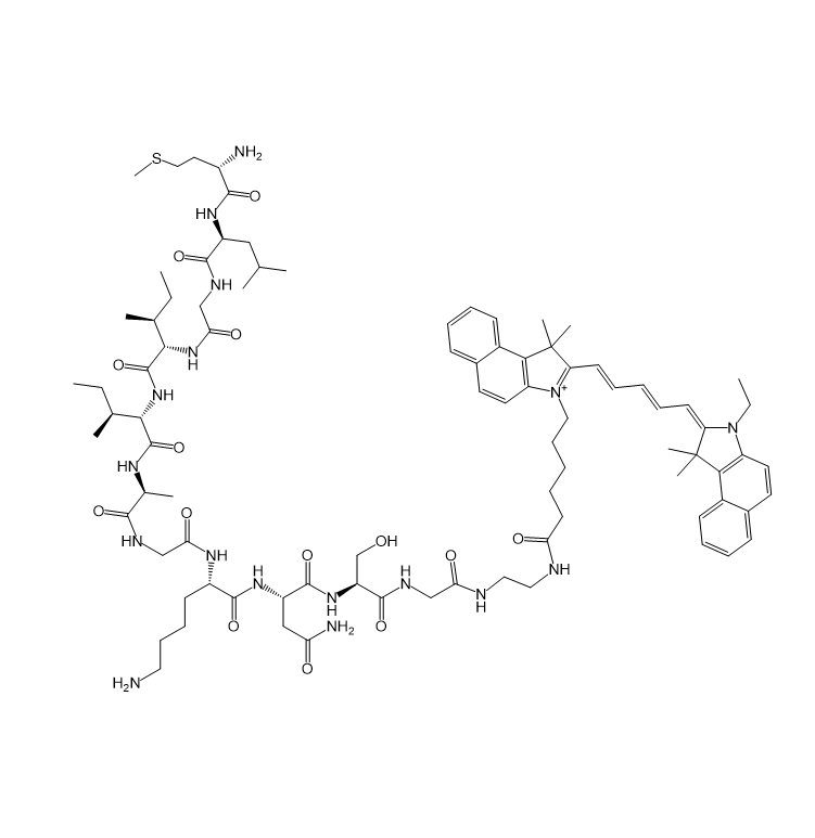 Cy5.5-Amyloid-β,菁染料Cy5.5-淀粉样蛋白β