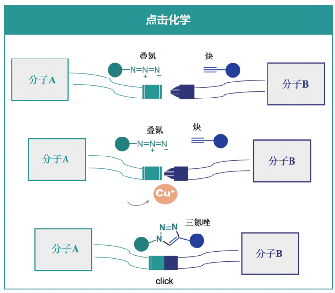 点击化学类的定制服务