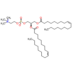 DOPC liposome,二油酰磷脂酰胆碱脂质体
