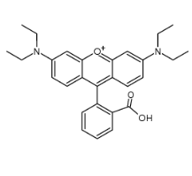 RB-胶原蛋白的荧光稳定性  