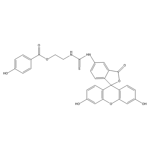 FITC-CAT,异硫氰酸荧光素-过氧化氢酶