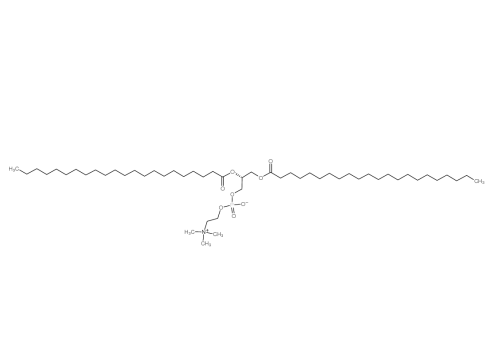 DDocPC,1,2-双二十二碳酰基-SN-甘油-3-磷酰胆碱