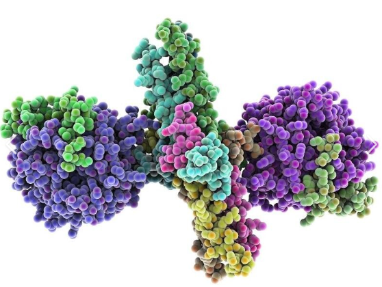 CY3-Bovine fibrinogen,三甲川花菁染料-牛纤维蛋白原