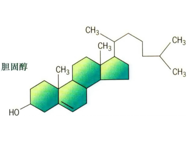cholesterol-PEG-cys-YTIWMPENPRPGTPCDIFTNSRGKRASNG-K-FAM