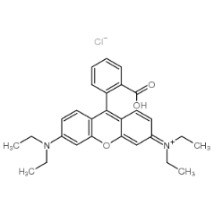聚-L-赖氨酸-罗丹明B 30-70k PLL-RB，30-70k的性质及特点