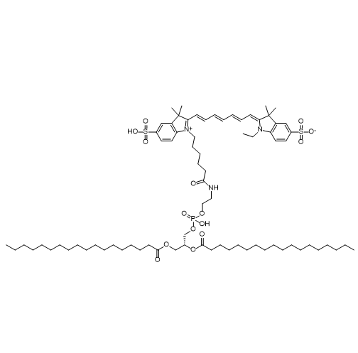 DSPE-CY7,二硬脂酰磷脂酰乙醇胺-七甲川花菁染料