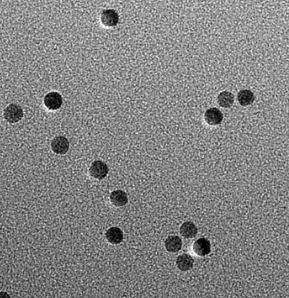 Oil-Fe3O4 NPs,油溶四氧化三铁纳米粒子
