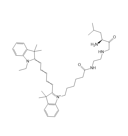 CY5-Leu,花菁染料CY5-亮氨酸