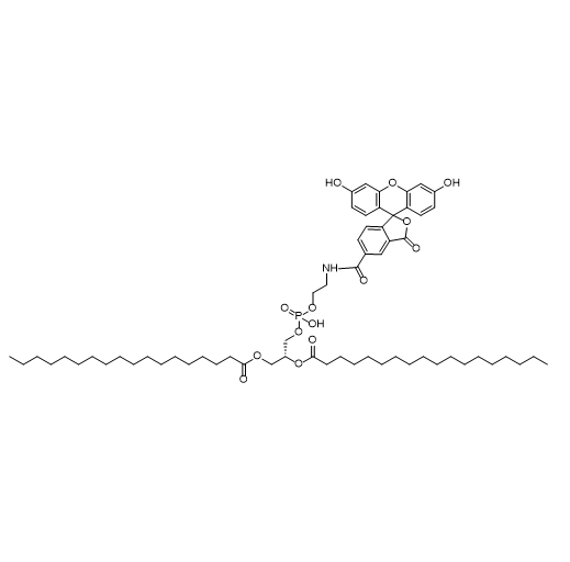 DSPE-5-FAM,二硬脂酰基磷脂酰乙醇胺-5-羧基荧光素