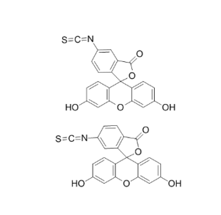 5-TTTTTTTT-TTAGGGCATGCACTAC - 异硫氰酸荧光素-3的优缺点