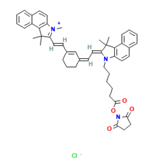 Cy7.5 NHS ester标记生物分子的反应条件  