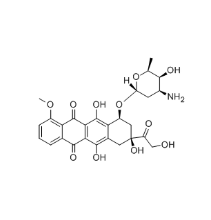DOX-PEG-COOH可以偶联的分子 