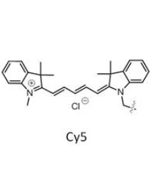 PLGA10K-PEG2K-CY5 LA/GA=50/50的优点
