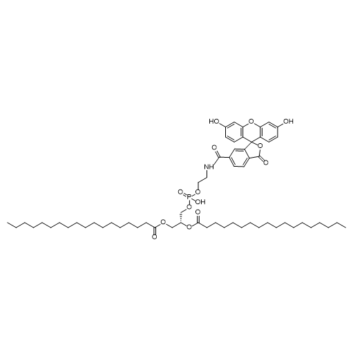 DSPE-6-FAM,二硬脂酰基磷脂酰乙醇胺-6羧基荧光素
