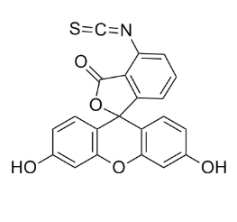 FITC修饰二氧化硅纳米粒子的应用  
