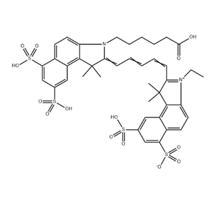 四氧化三铁（ 10nm）-花菁染料 CY5.5-单核细胞趋化蛋白 -1的应用