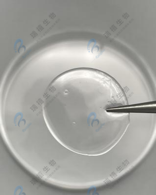 干燥-盐析法制备的PVA超韧水凝胶