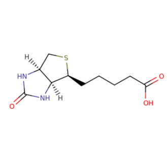 联肼尼克酰胺-聚乙二醇 4-生物素Hynic-peg4-biotin的优点
