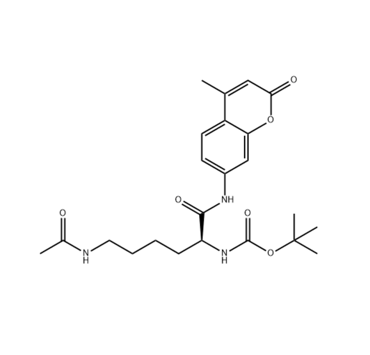 马来酰亚胺修饰脂质体包裹核酸类似物与蛋白复合物的特性
