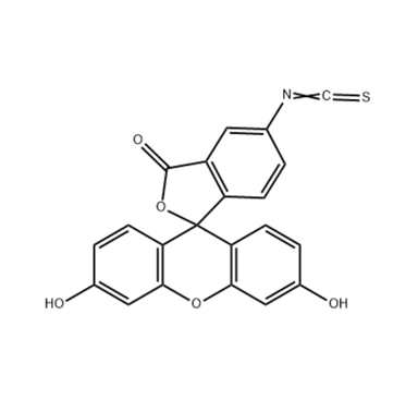 异硫氰酸荧光素偶联物   FITC-conjugate的优缺点