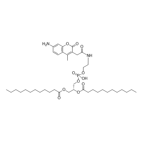 DLPE-AMCA,二月桂酰磷脂酰乙醇胺-香豆素类染料