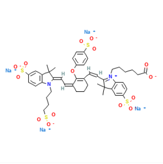 IRDye 800CW荧光染料标记抗体的注意事项  