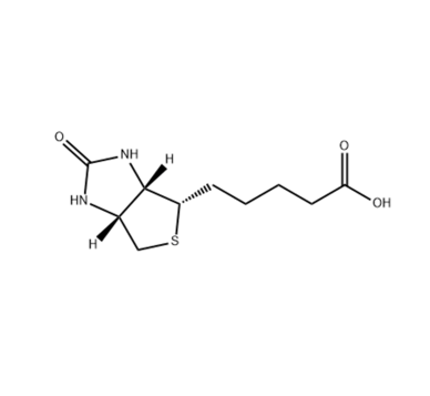生物素-聚乙二醇 3-羟胺盐酸盐    Biotin-PEG3-oxyamine HCl salt的特性