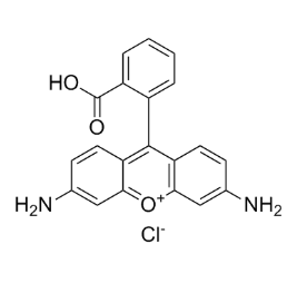 Rhodamine-modified CNC,罗丹明修饰纤维素纳米晶体