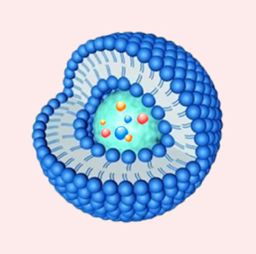 脂质体包载化合物与铜粒子复合物脂质体包裹化合物和Cu粒子的特性