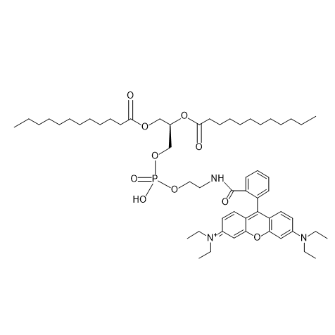 DLPE-RB,二月桂酰磷脂酰乙醇胺-罗丹明B