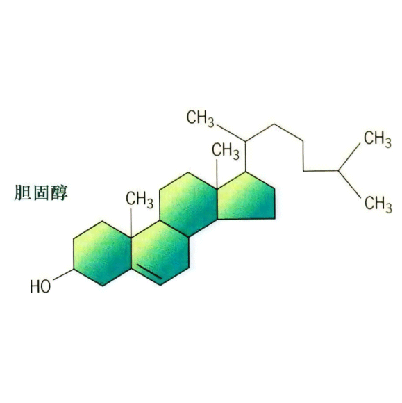 胆固醇-单乙二醇-叠氮化物 Cholesterol-PEG1-N3的性质及特点