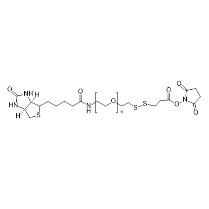 Biotin-PEG-SS-NHS,生物素-聚乙二醇-双硫键-活性酯