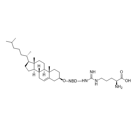 Cholesterol-NBD-Arginine,胆固醇-NBD-精氨酸