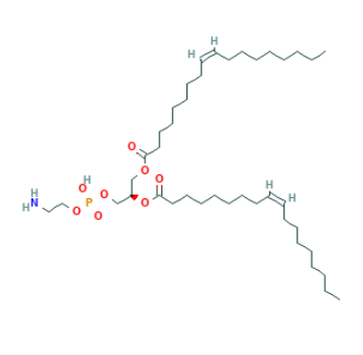 DOPE-NIR-II dyes,二油酰基磷脂酰乙醇胺-近红外二区染料