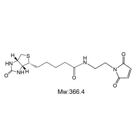 BIOTIN-mal,生物素-马来酰亚胺